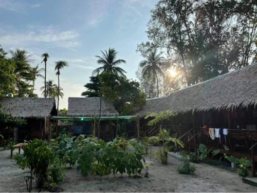 a garden with plants in front of a building at The Hideaway, Koh Lipe in Ko Lipe