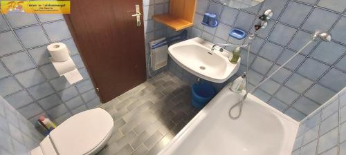 Baño pequeño con aseo y lavamanos en Apartment Adam Tauplitz by FiS - Fun in Styria, en Tauplitz