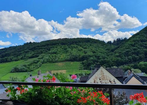 a view from a balcony of a mountain with flowers at Ferienweingut Stein in Valwig