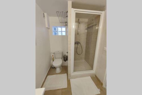 La salle de bains est pourvue d'une douche et de toilettes. dans l'établissement F2 Parking privé, Wi-Fi Netflix, à Poissy