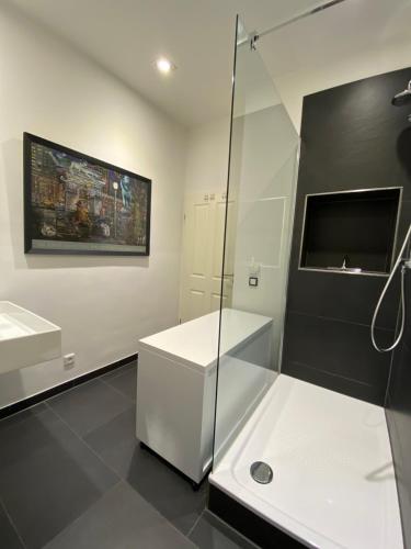 a bathroom with a glass shower and a sink at Apartment Elli in Augsburg