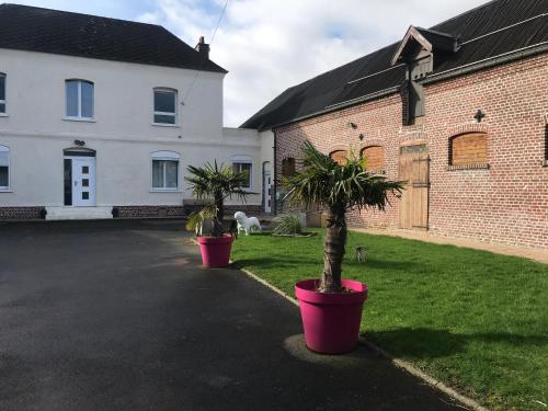 Dos palmeras en macetas frente a un edificio. en Le grand gîte de Commonwealth, en Hébuterne