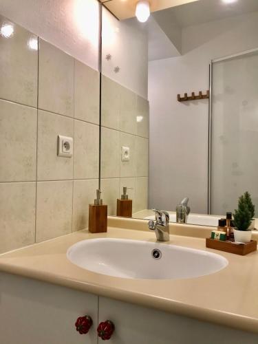 une salle de bain avec un lavabo et un miroir dans l'établissement Appartement-Terrasse 