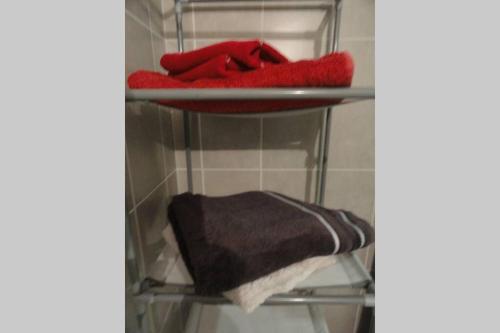 a towel and a plate on a shelf in a bathroom at studio entre Mt-St-Michel et St- Malo in Dol-de-Bretagne