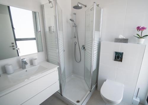 耶路撒冷Gorgeous Design 3 BDR Appart - J Tower - Amazing View!的带淋浴、马桶和水槽的浴室