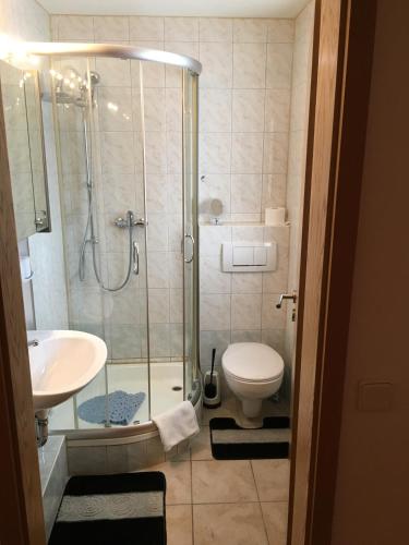 a bathroom with a shower and a toilet and a sink at Haus Zeichner 2 Zimmer Ferienwohnung in Feldberg