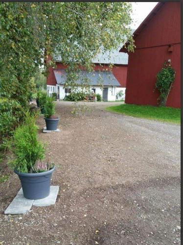 a red barn with three potted plants in front of it at Lilla lägenheten Västra Karstorp in Aneby