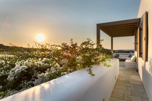 a garden with white flowers on a white wall at White Tinos Luxury Suites in Stení