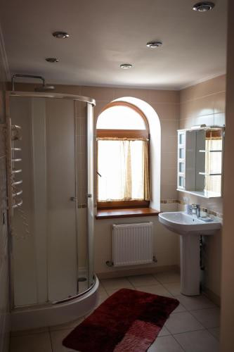 a bathroom with a shower and a sink at Котедж-парк Славна in Okhtyrka