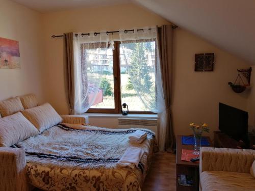 uma sala de estar com uma cama e uma janela em Ски студио Хрис в комплекс Лъки Пампорово em Pamporovo