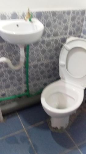 a bathroom with a white toilet and a sink at Maison D'hote Amazir in Boumalne