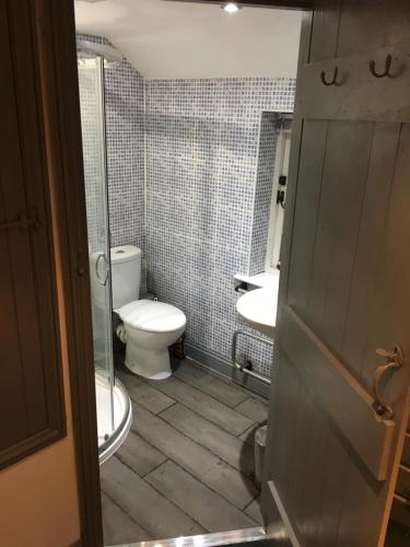 a bathroom with a toilet and a sink at Fishermans Flint cottage in Sheringham