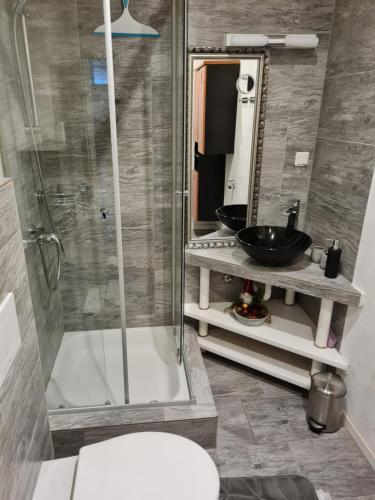 uma casa de banho com um chuveiro, um lavatório e um WC. em Ni Va Li em Bretzenheim
