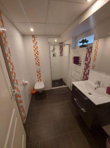 a bathroom with a sink and a toilet at Résidence "Au Charron de Geis'pitz" en sous sol in Geispolsheim
