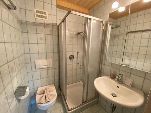 a bathroom with a shower and a sink and a toilet at Martinsklause in Maishofen