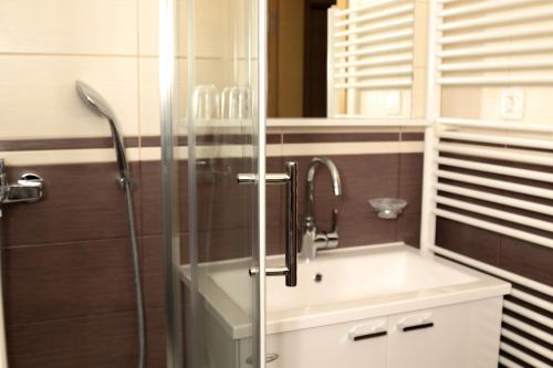 ein Badezimmer mit Waschbecken und Glasdusche in der Unterkunft Apartmani Stelo Jahorina in Jahorina