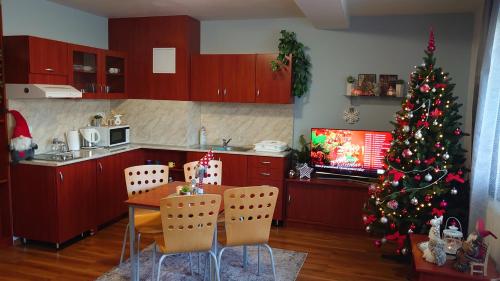 Kuchyň nebo kuchyňský kout v ubytování Apartmán Patris 40