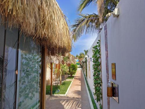 an alley with a palm tree and a white building at Puerto Bamboo in Máncora