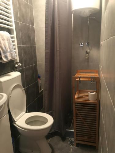 a bathroom with a toilet and a shower at Weekendica in Kopaonik