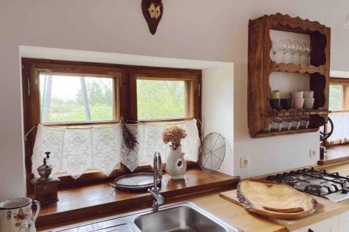 Dapur atau dapur kecil di Między Wodami