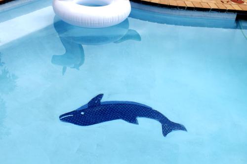 a swimming pool with a dolphin and a bowl in the water at Midrand Bed and Breakfast in Midrand