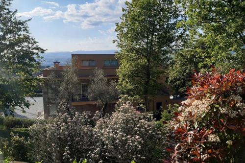 a house in the middle of a garden with trees at Cavado's heights Braga in Braga