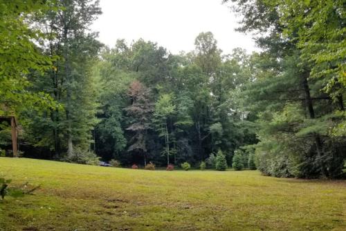 a field of grass with trees in the background at Beautiful Tranquil Mountain Home in Andrews, NC in Andrews