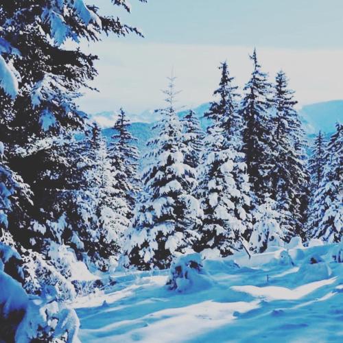 La Kabylie au coeur des 3 Vallées internet tout compris v zimě