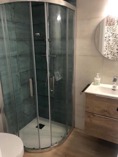 a bathroom with a shower with a toilet and a sink at Apartament La Ruella in Sort