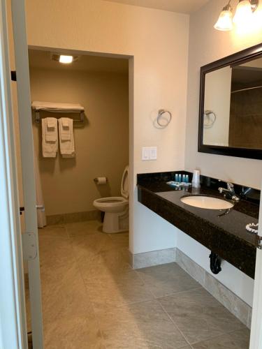 a bathroom with a sink and a toilet and a mirror at Apple Valley Hotel & Lodge in Apple Valley