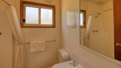 a bathroom with a toilet and a shower and a mirror at Cobar Caravan Park in Cobar