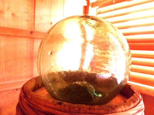 a goldfish bowl sitting on top of a wooden bowl at Kominka Sharehouse Hooju in Miyazaki