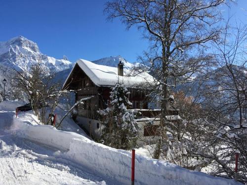 a house covered in snow in the mountains at Chalet Blanche Neige in Gryon