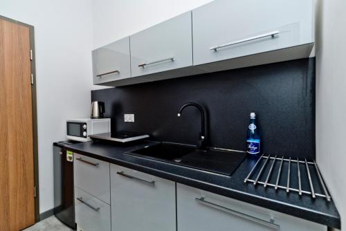 Kuchnia lub aneks kuchenny w obiekcie BlueApart Apartamenty Nexo