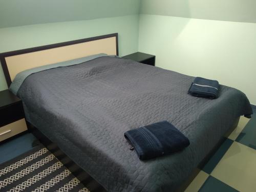バンスコにあるVilla Kalina Apartmentsのベッドルーム1室(青いタオル付きのベッド1台付)