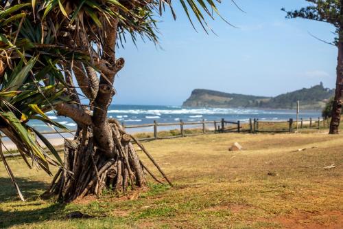 a palm tree on the beach with the ocean in the background at Santa Fe Motel and Holiday Units in Lennox Head