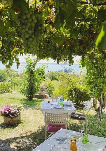 a table and chairs under a tree with grapes at Agriturismo 30 in Moniga