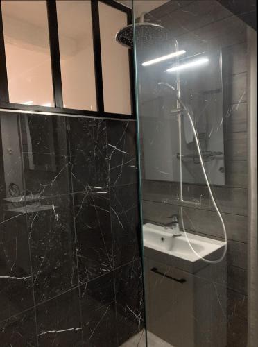 une salle de bain avec un lavabo et une douche en verre dans l'établissement Bel appartement AVIGNON CENTRE, à Avignon