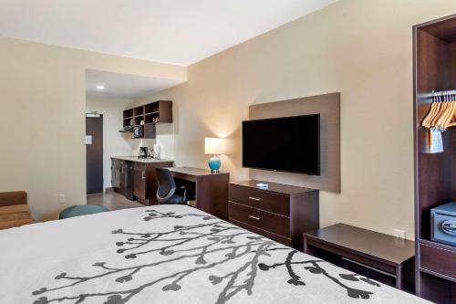 a hotel room with a bed and a flat screen tv at Sleep Inn & Suites in Waller