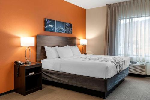 a hotel room with a bed and a window at Sleep Inn & Suites Moab near Arches National Park in Moab