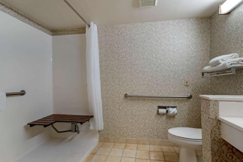 Bilik mandi di Econo Lodge Inn & Suites