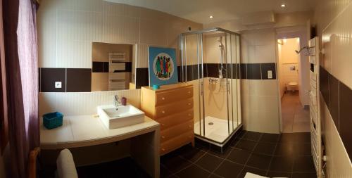 a bathroom with a sink and a shower at Au Coeur Des Ecrins in LʼArgentière-la-Bessée