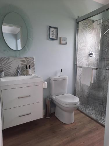 a bathroom with a toilet and a shower and a sink at Heavenly Breeze in Hermanus