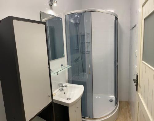 a bathroom with a shower and a sink and a mirror at Hostel Czecha in Warsaw
