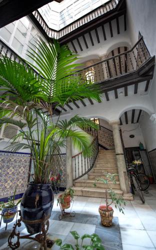 Casa Maroca