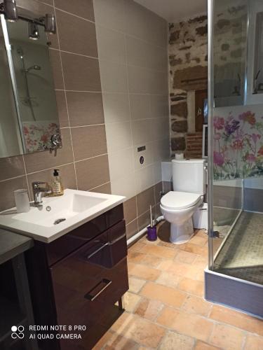 een badkamer met een toilet, een wastafel en een douche bij Les Granges De Cassard in Anglars