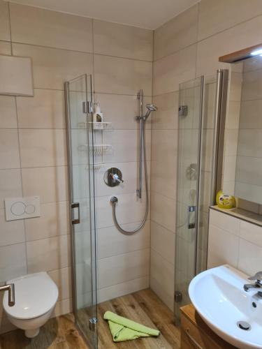 ein Bad mit einer Dusche, einem WC und einem Waschbecken in der Unterkunft Hotel Gasthof zum Engel in Künzelsau