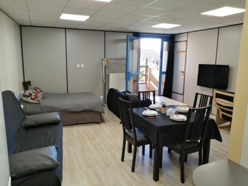 TV a/nebo společenská místnost v ubytování Appart'Hôtel Bugey
