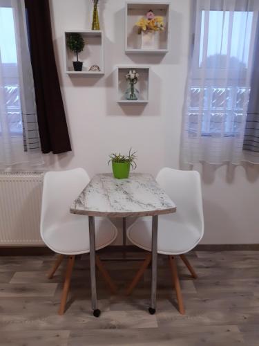 a table with two chairs and a plant on it at Napsugár Vendégház in Kiskőrös