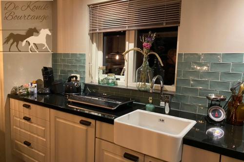 a kitchen with a sink and a counter top at B&B De Konik Bourtange in Bourtange